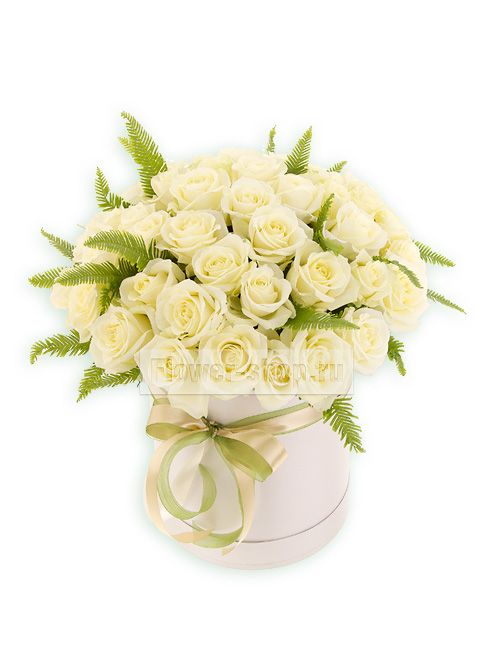 51 розы белые роскошные