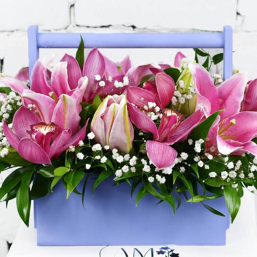 Composition inspiration