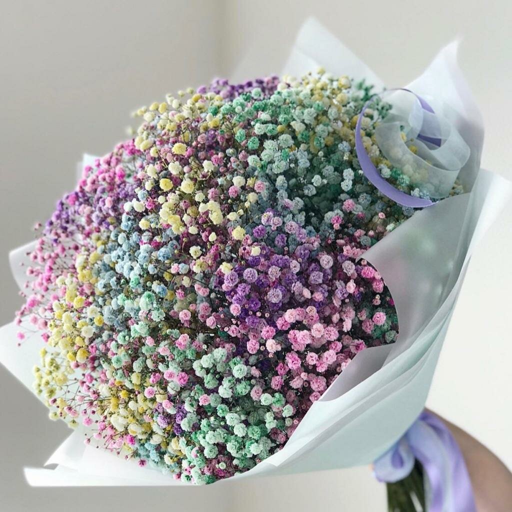 15 гипсофила