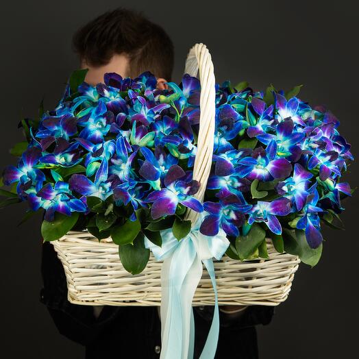 Basket with space orchids 💙
