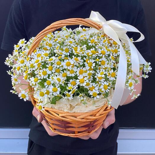 Кoрзинка ромашек🌼