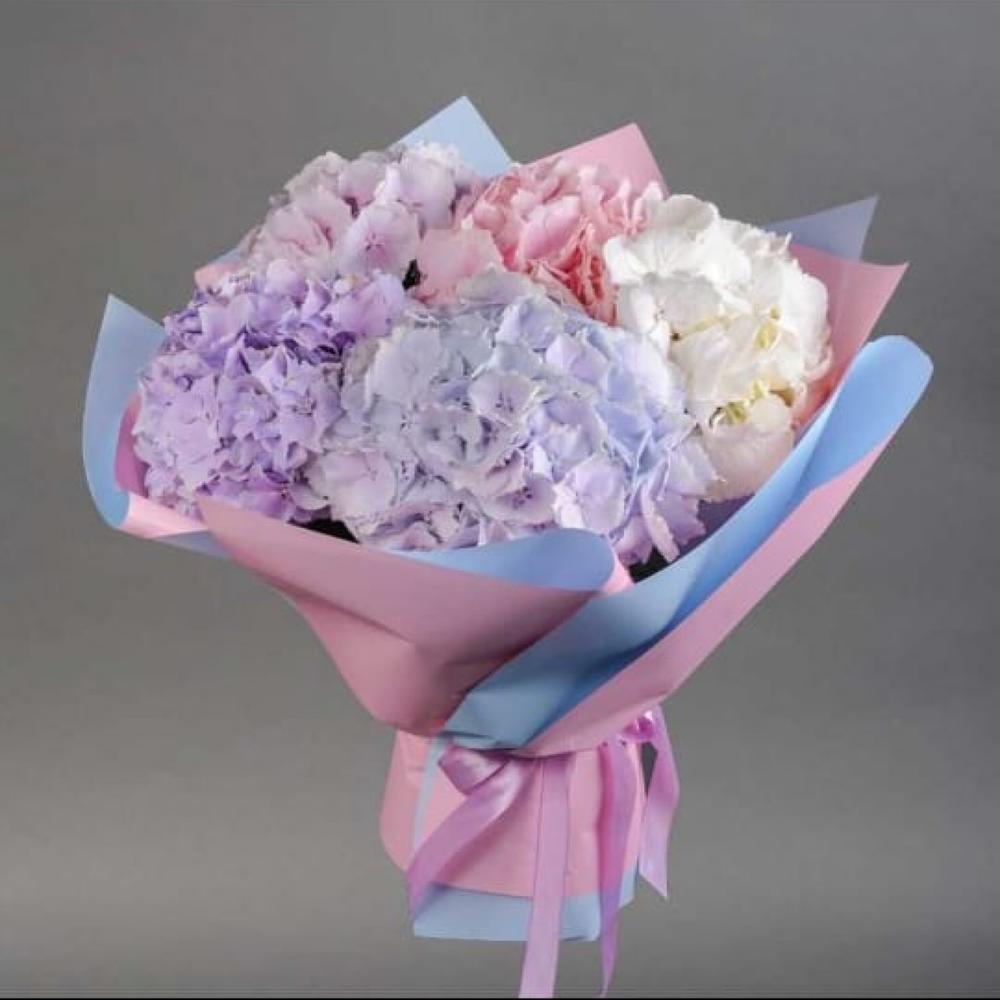 5 гортензия