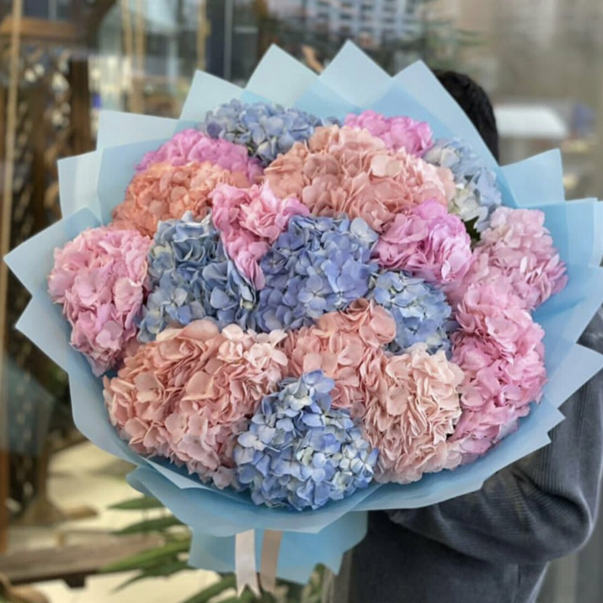 25 hydrangea