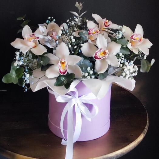 Белоснежная гипсофила и орхидея