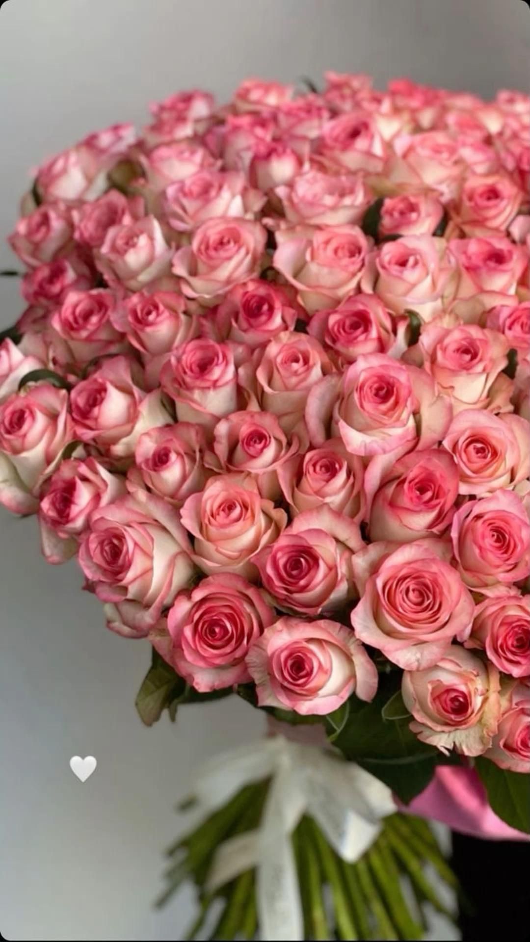 51 Pink Roses 50 cm Royal 👑