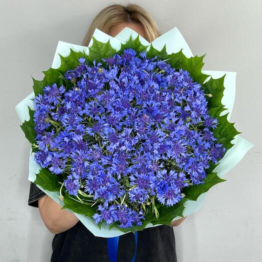 Букет Васильки 101