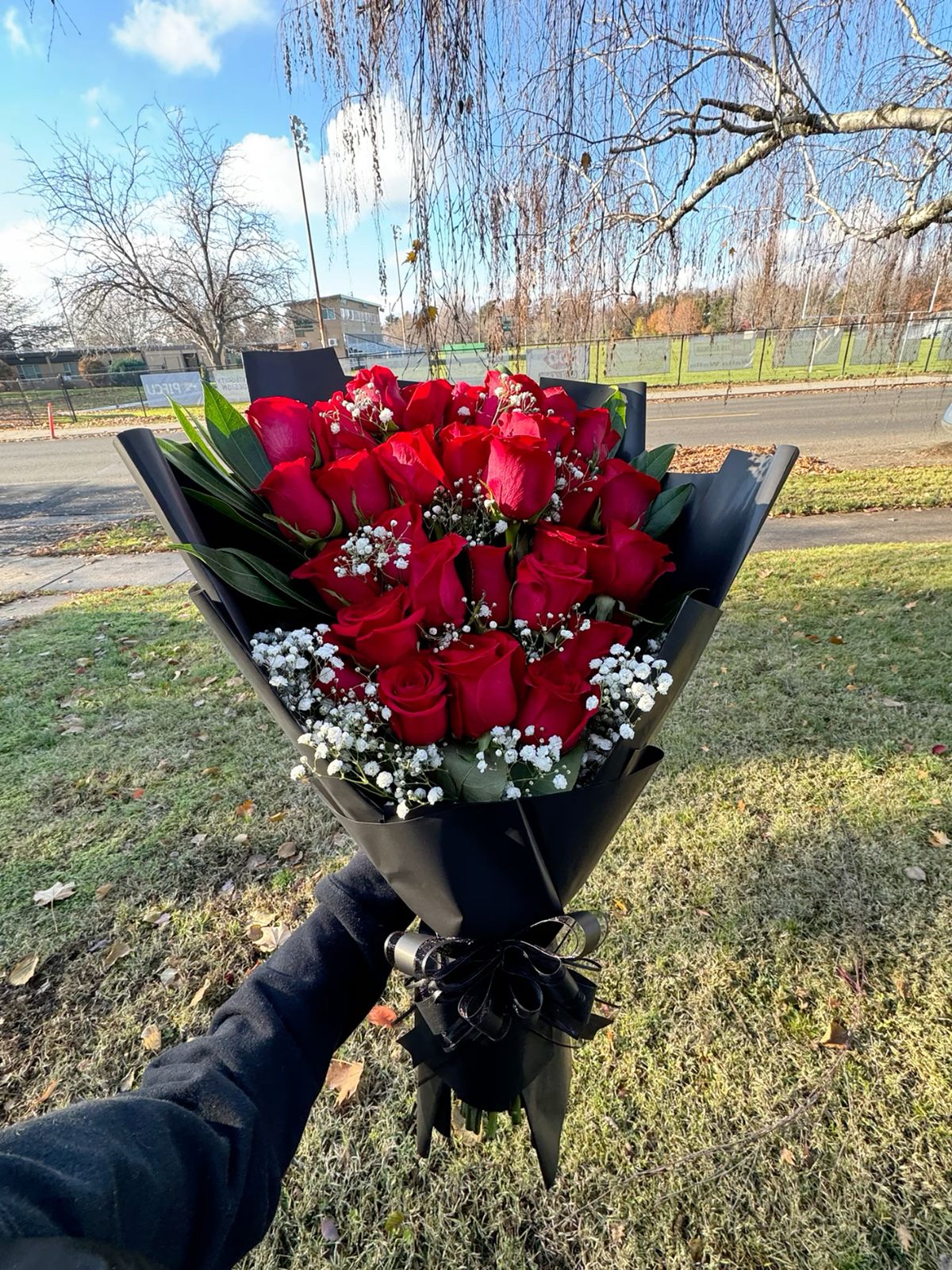 11 red roses