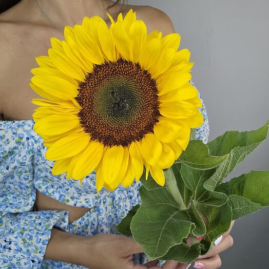 Подсолнух 70 см