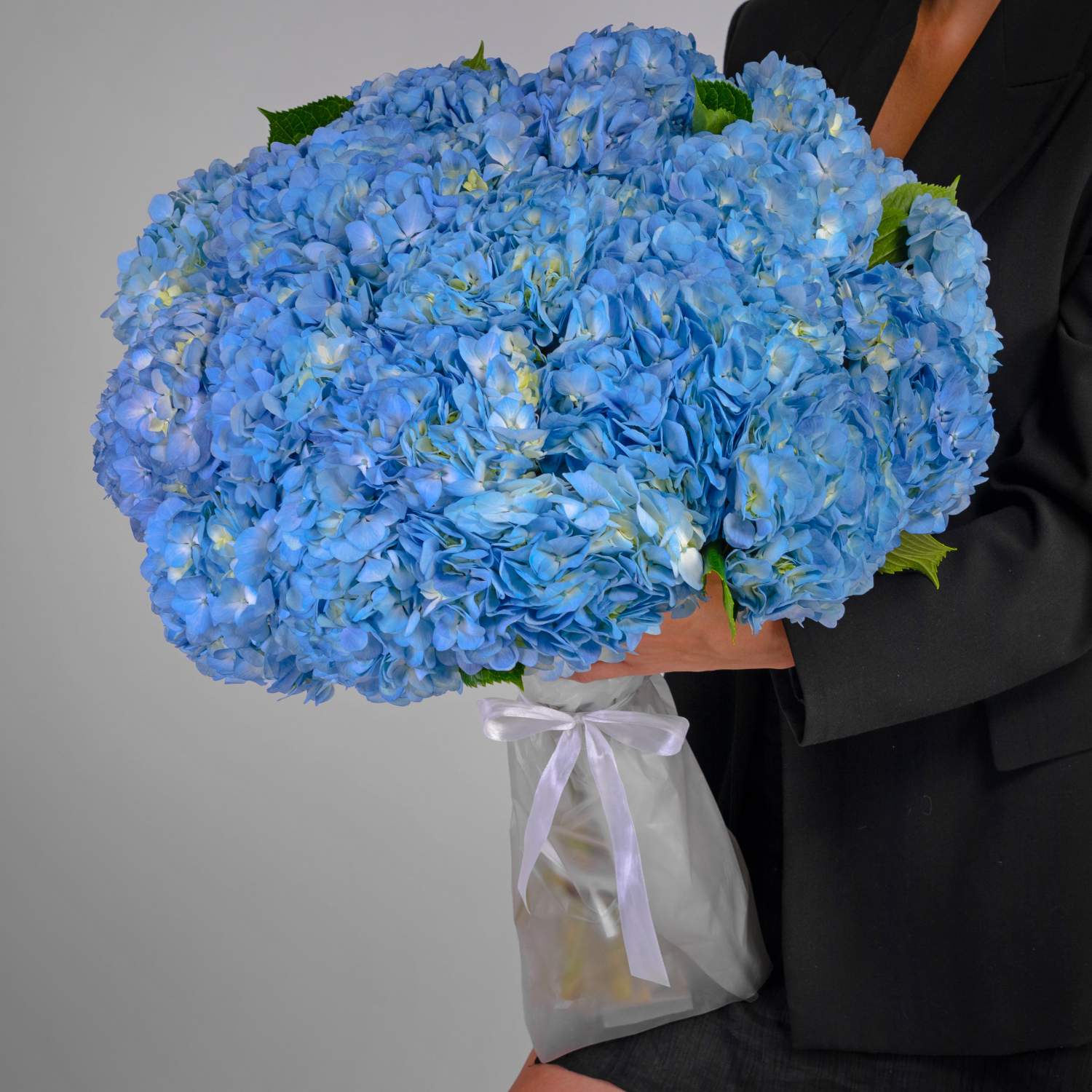 25 hydrangea