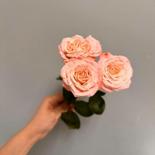 Rose bunch bombastic