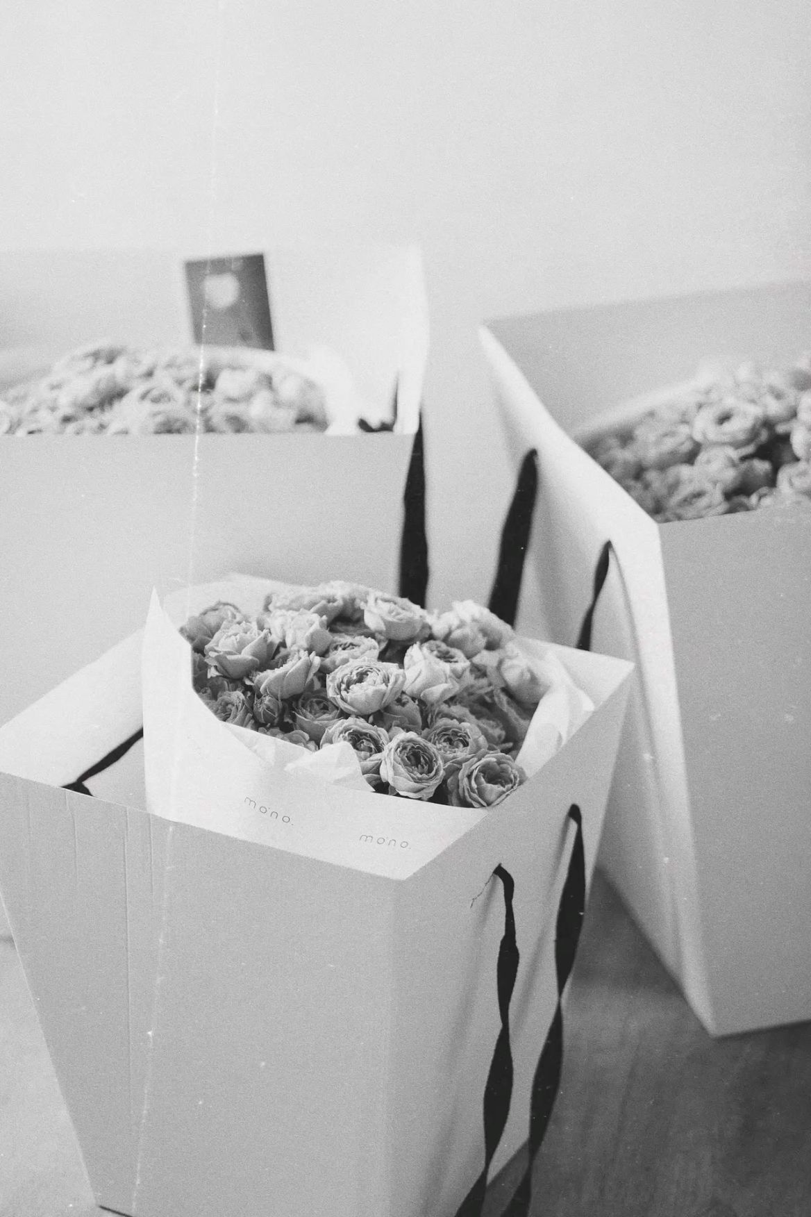 Bright mono bouquet 🌷