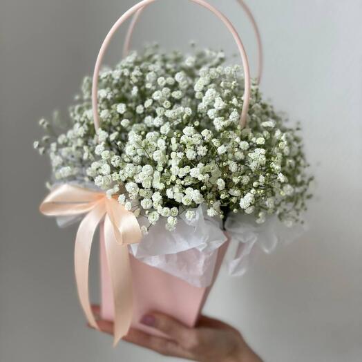 Гипсофила в сумочке