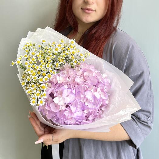 Радостная встреча с гортензией и ромашкой