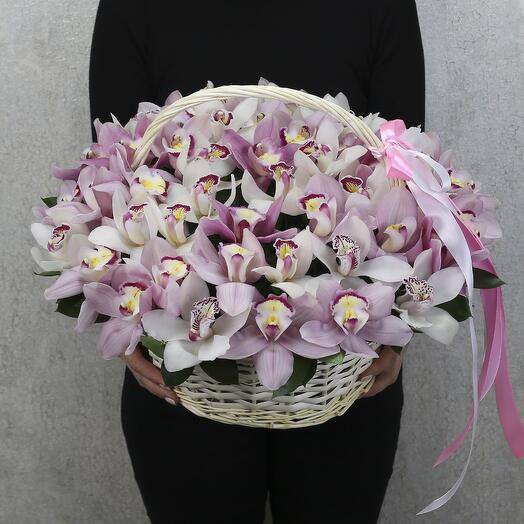 51 White and pink orchid in the basket