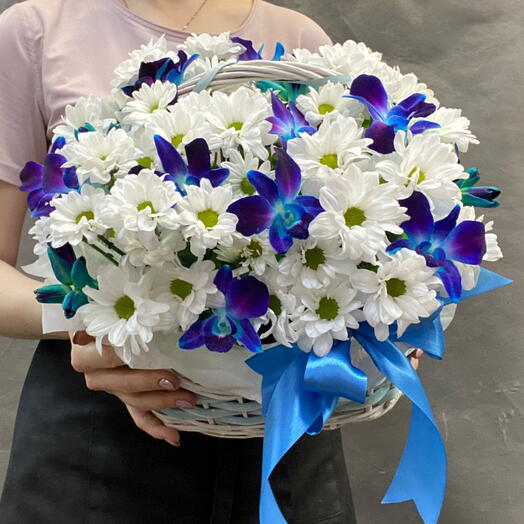 Basket with daisies and blue dendrobium
