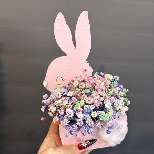 The composition of the bunny