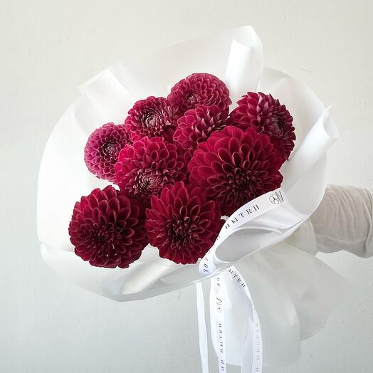 Burgundy dahlias