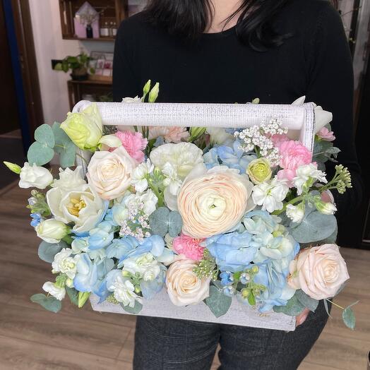 The radiance of the morning star