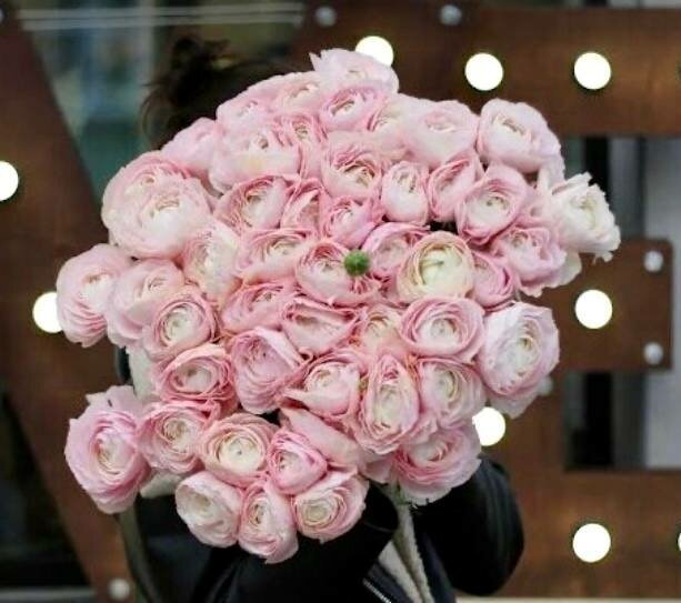 51 ранункулюс