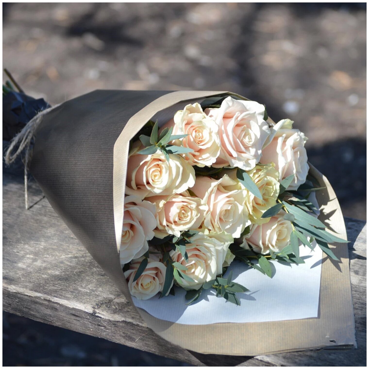 11 кремовых роз