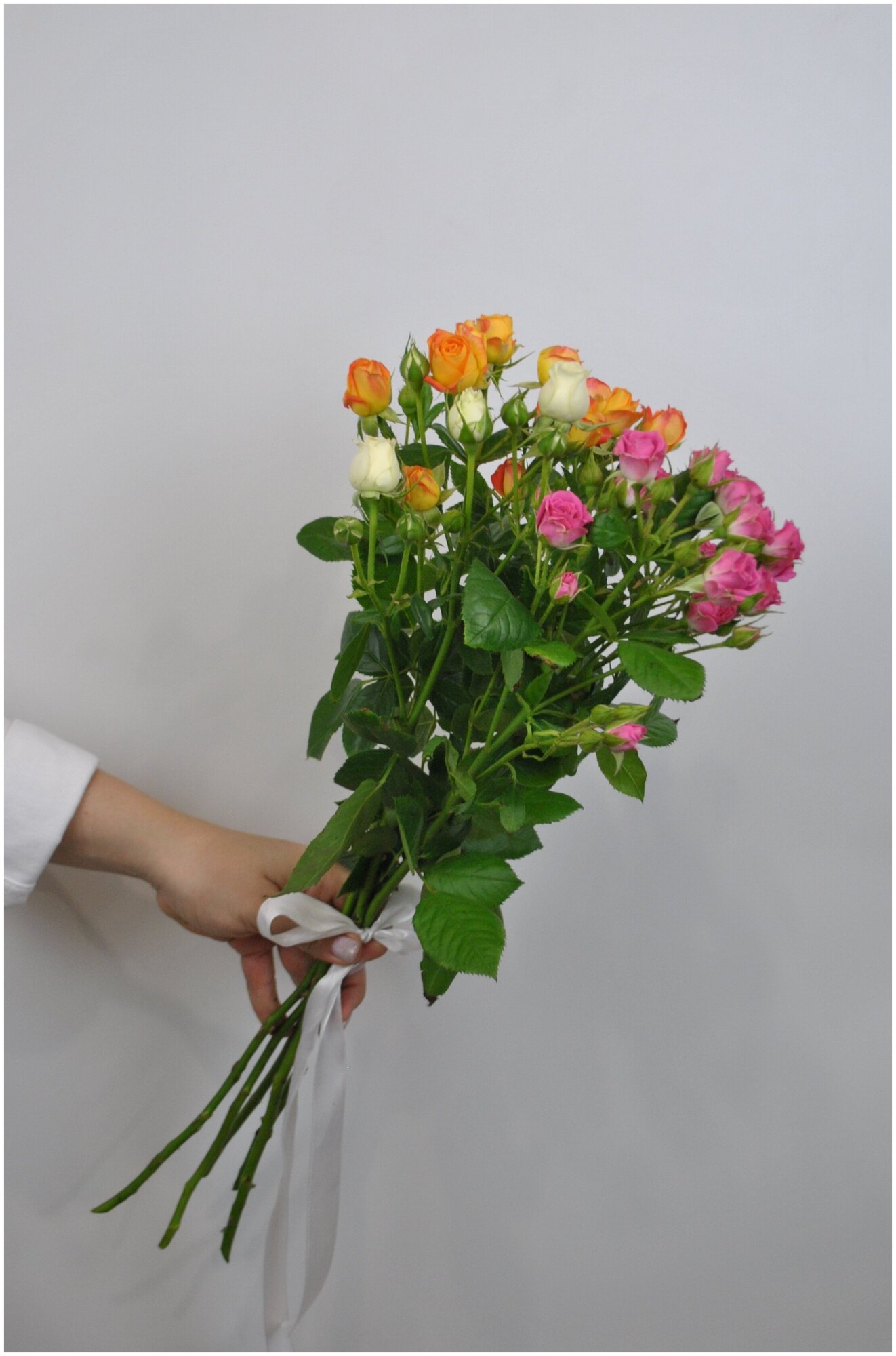 5 кустовых роз