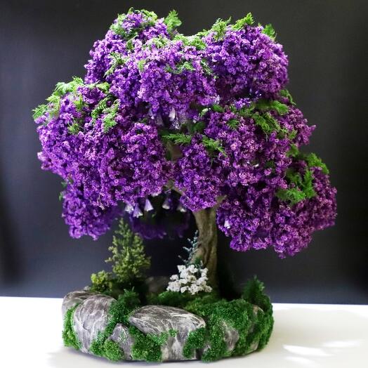 Глициния с подсветкой