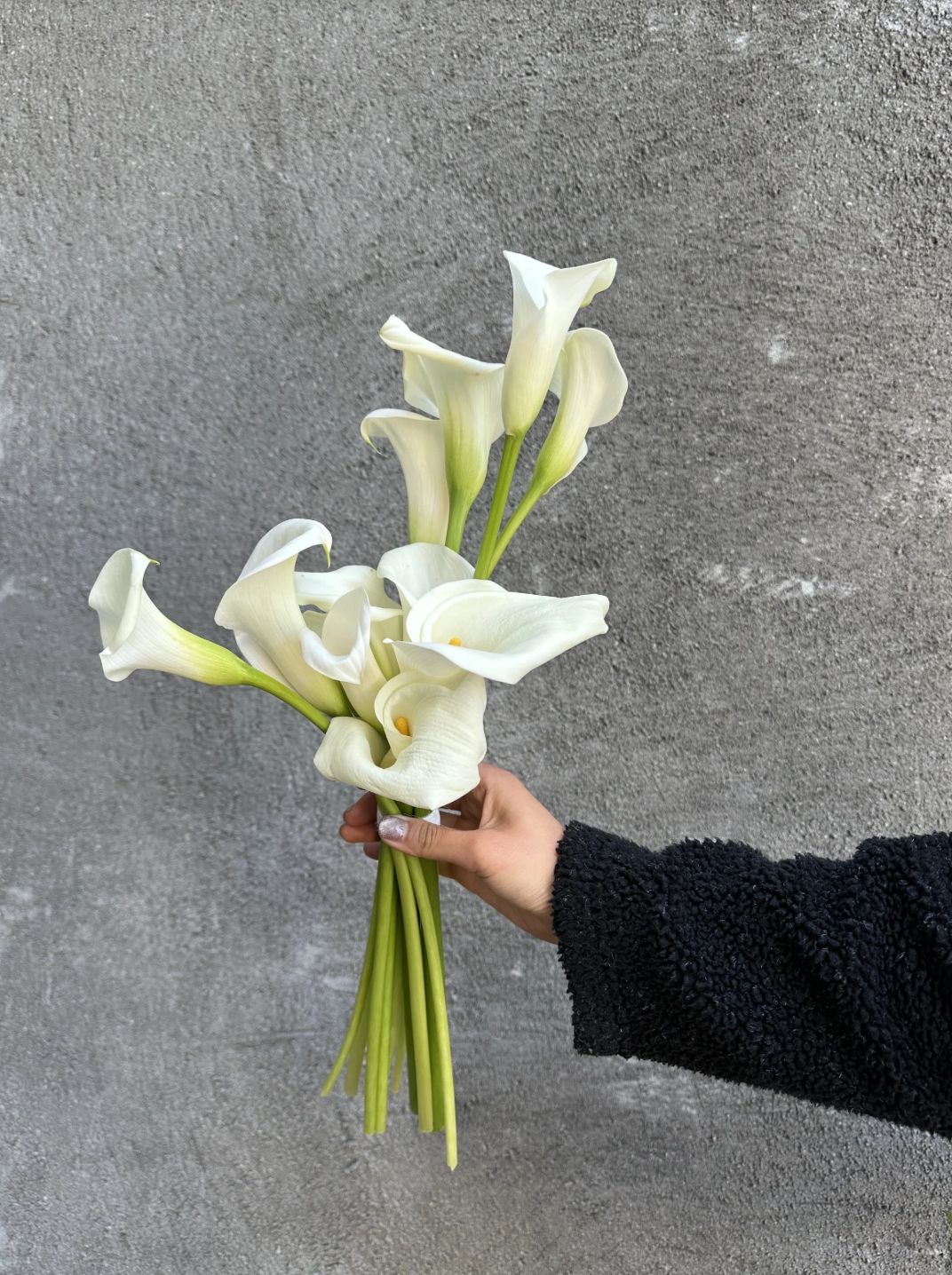 Уютный моно букет 🌺