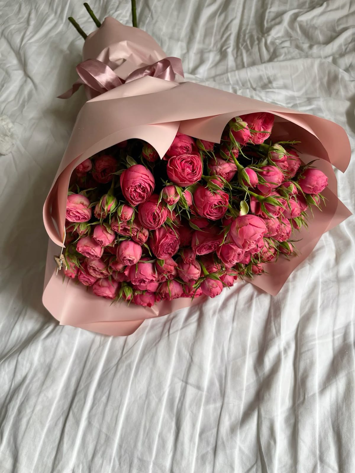 51 розовая роза 50 см премиум 🌸