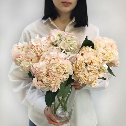Pink hydrangea in a vase