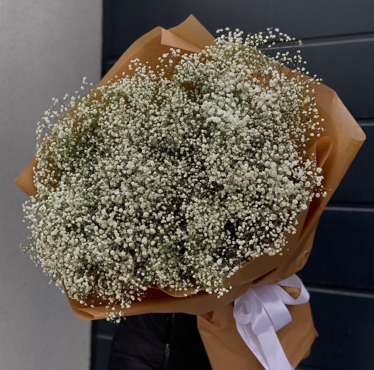 51 гипсофила