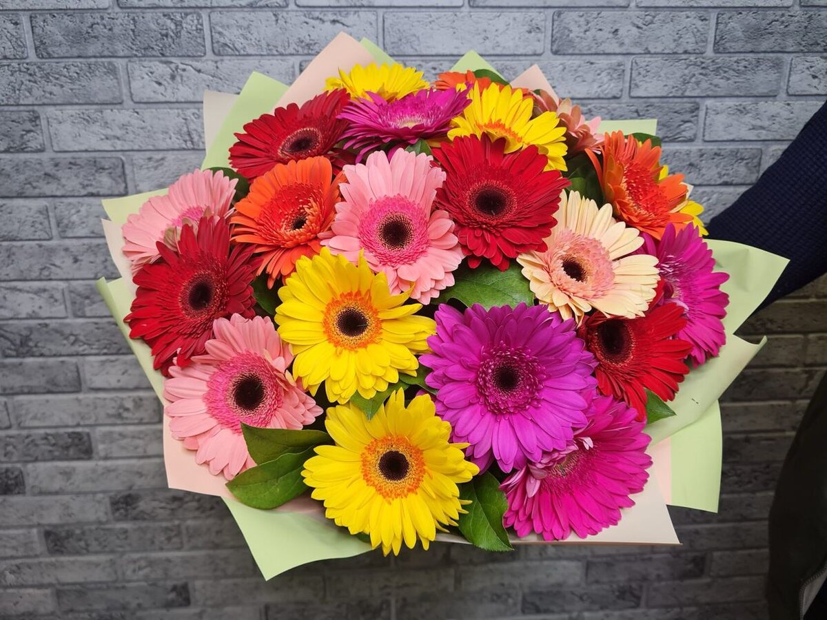 21 gerberas
