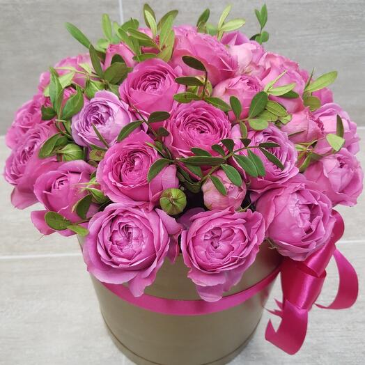 Misty bubbles pionivate rose