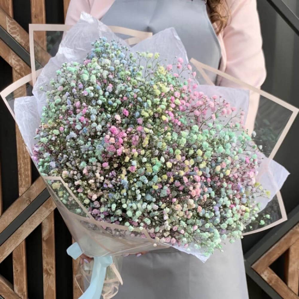 21 gypsophila