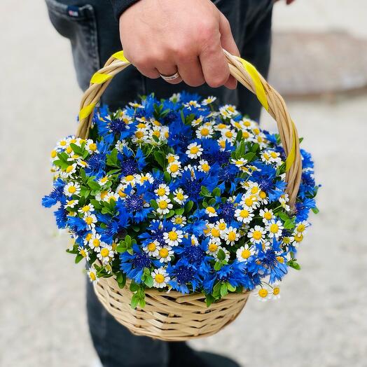 Basket of wildflowers. Basilka, chamomile