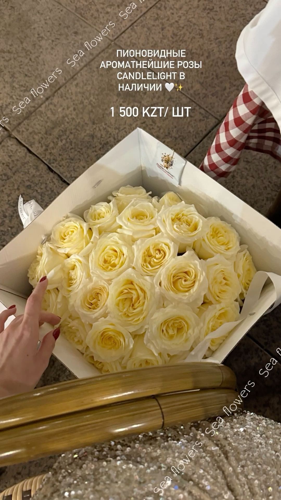 Festive mono bouquet 🎉