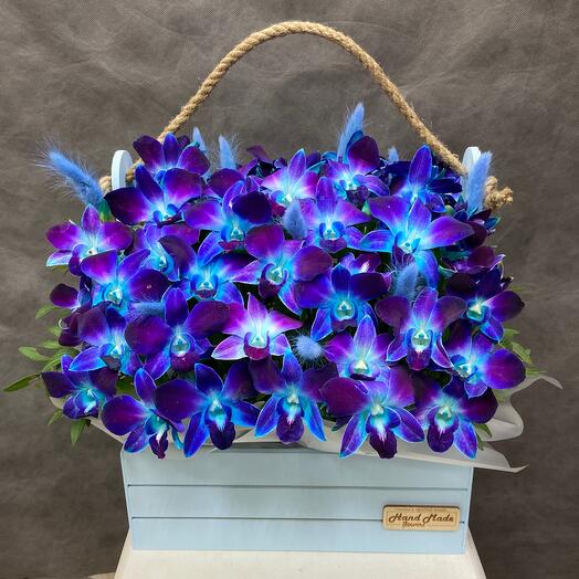 Box of a blue orchid