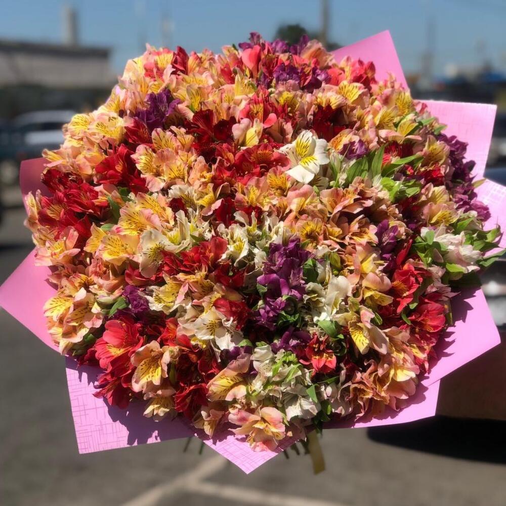 101 alstroemeria