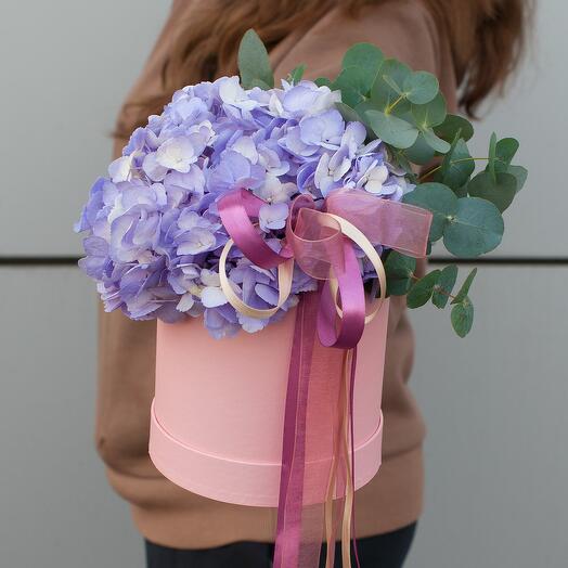 Гортензия в шляпной коробке Лавандер