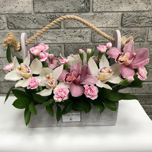 Орхидеи в ящике