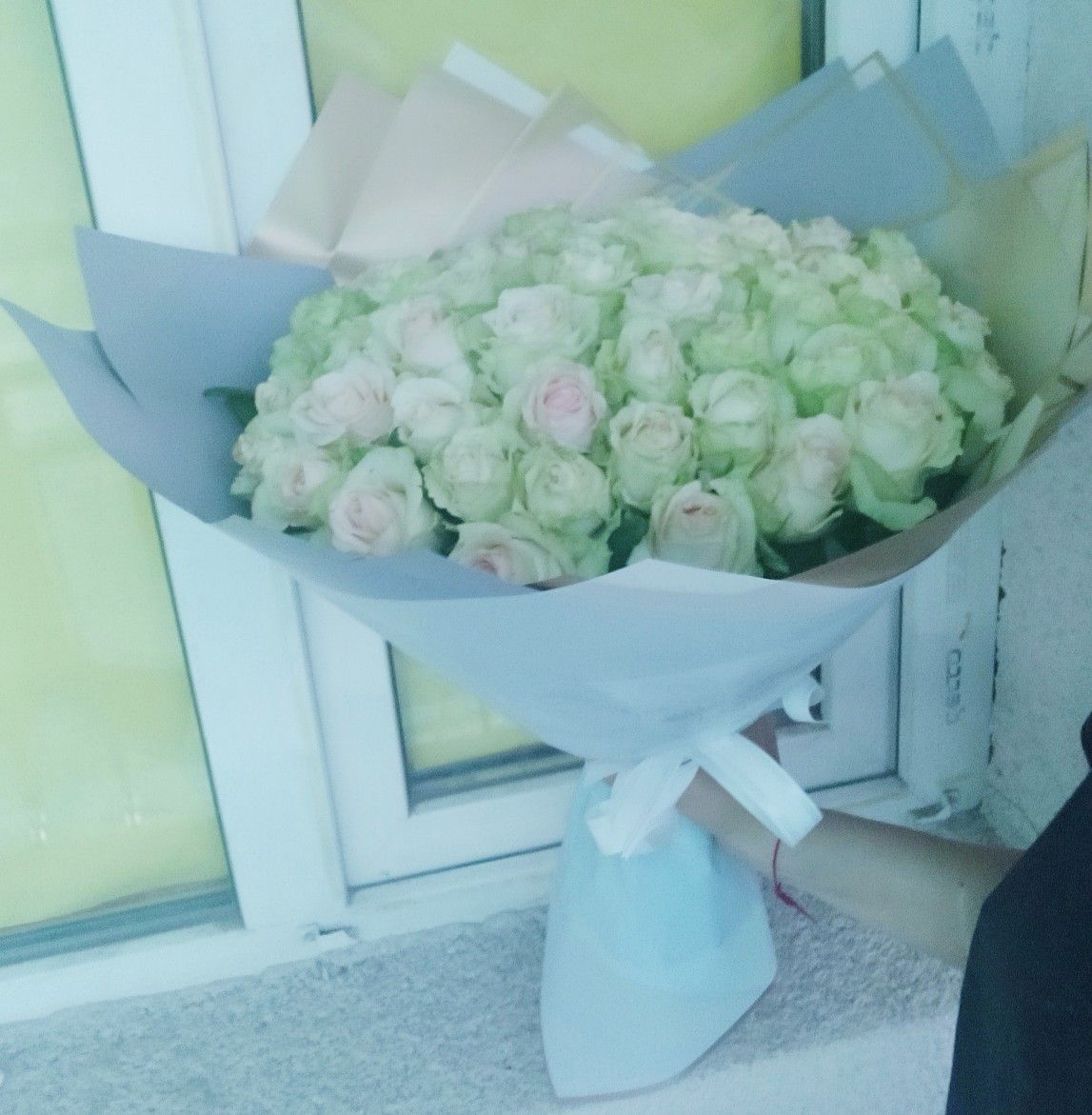 51 White Roses Beautiful