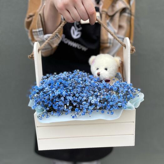 Gypsophyla box and bear