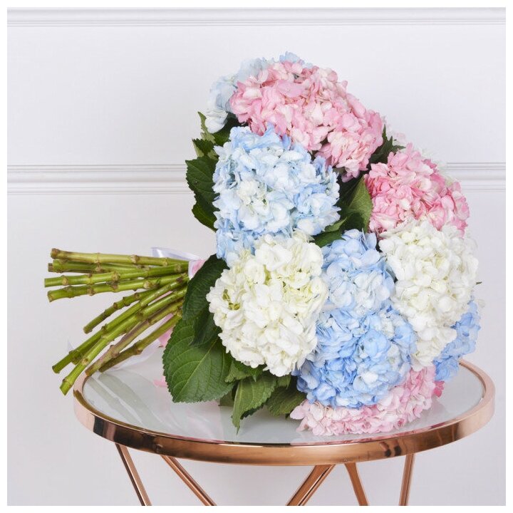 15 hydrangea