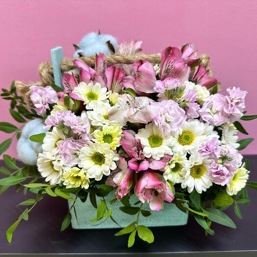 Flower composition in a wooden box with Mattiola "Tenderness"