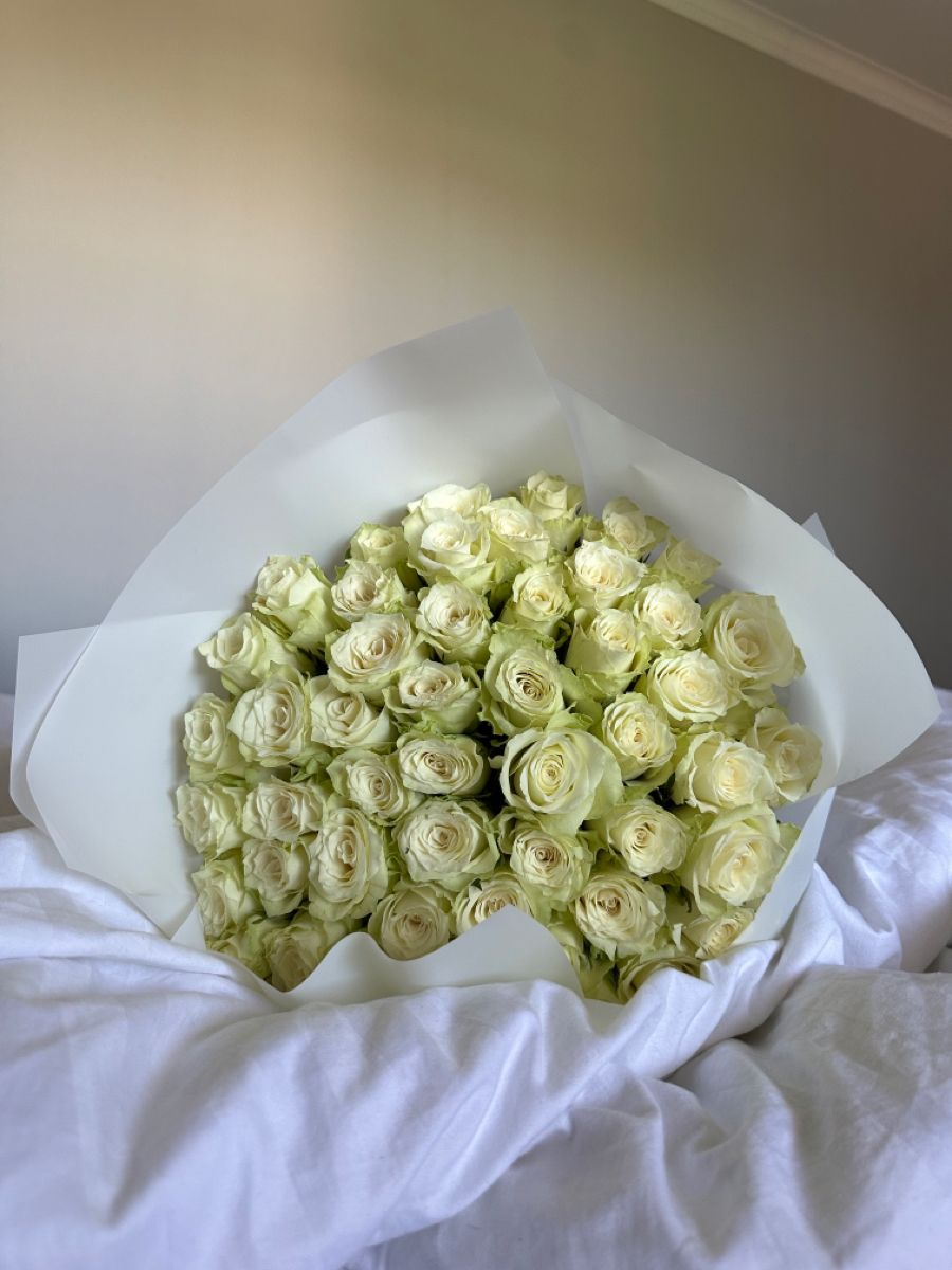 51 White Roses Elite