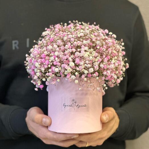 Коробка «Венера» (гипсофила)