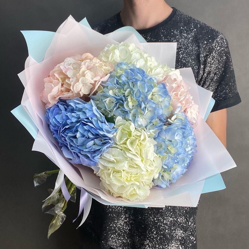 7 гортензия