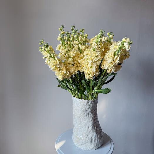 Ароматная маттиола для интерьера