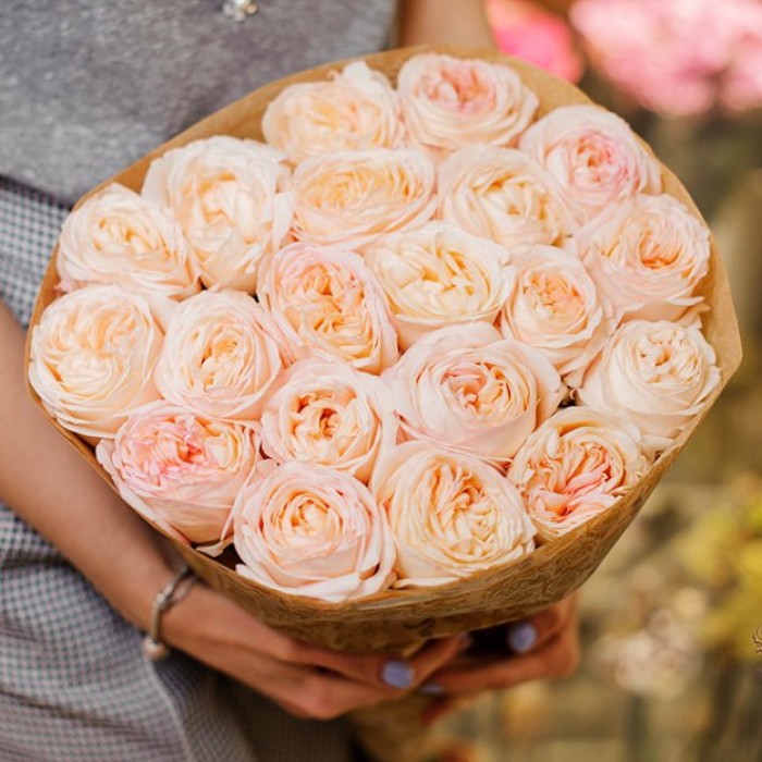 31 пионовидная роз