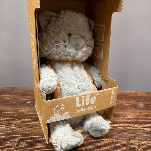 Cat 🐈⬛ with sausages. Orange