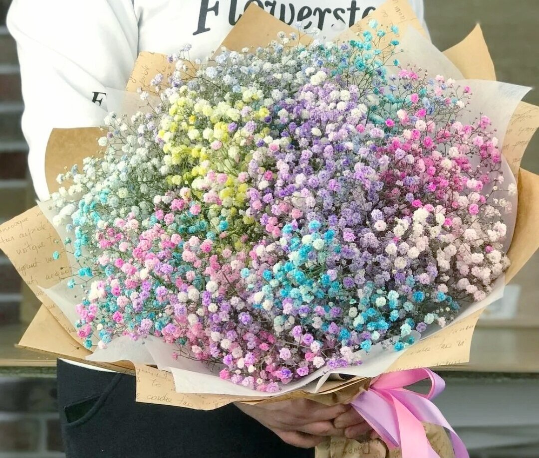 31 гипсофила